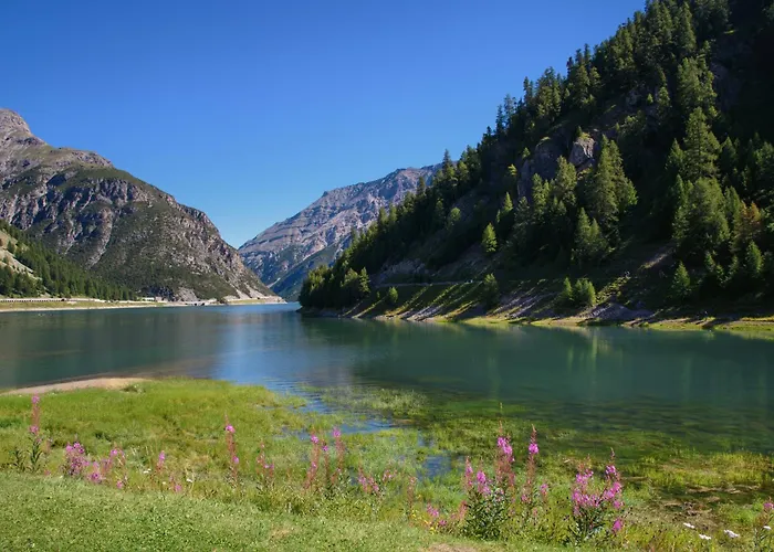 Chalet Menin - Happy Rentals