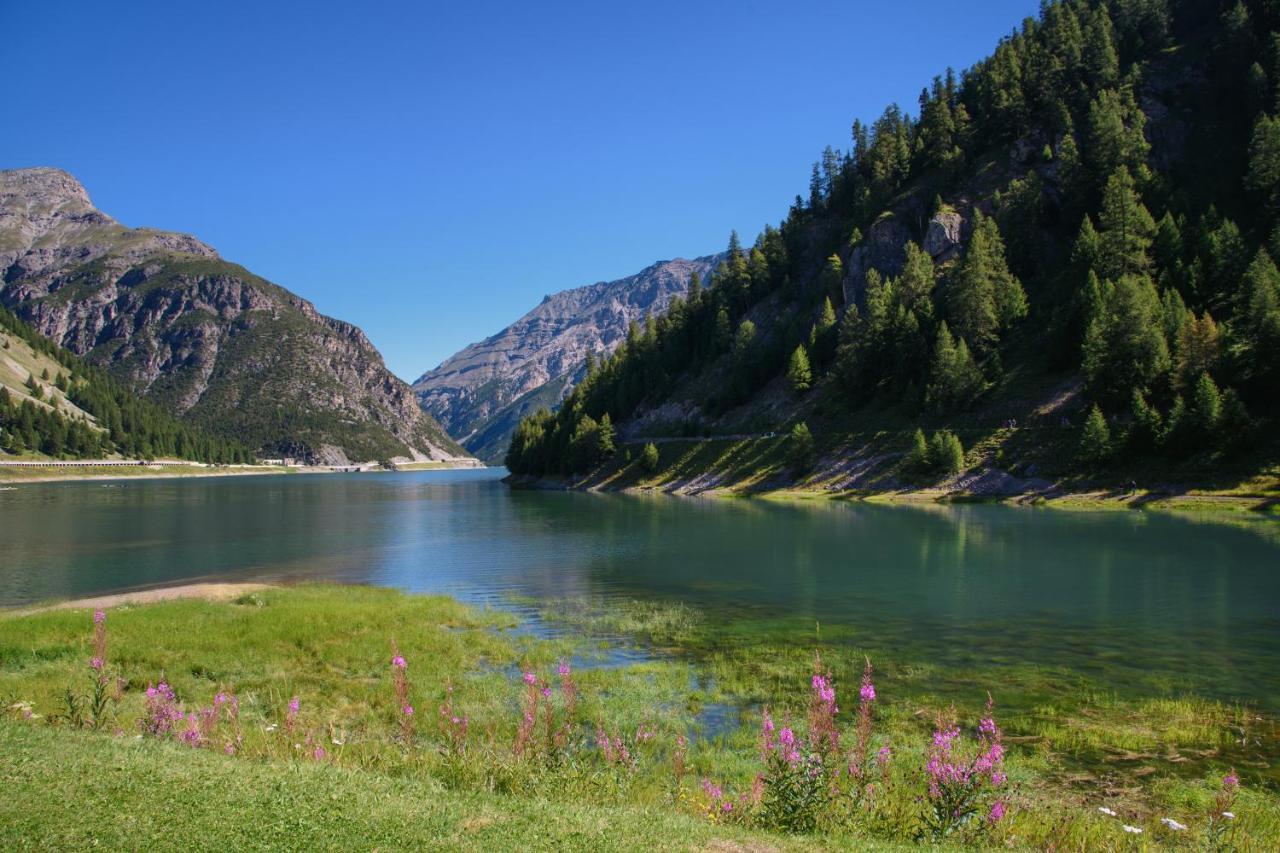 Menin - Happy * Livigno
